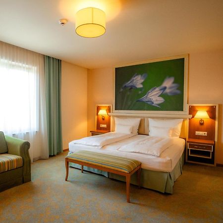 Hotel Sonnenhof Сучеава Екстериор снимка