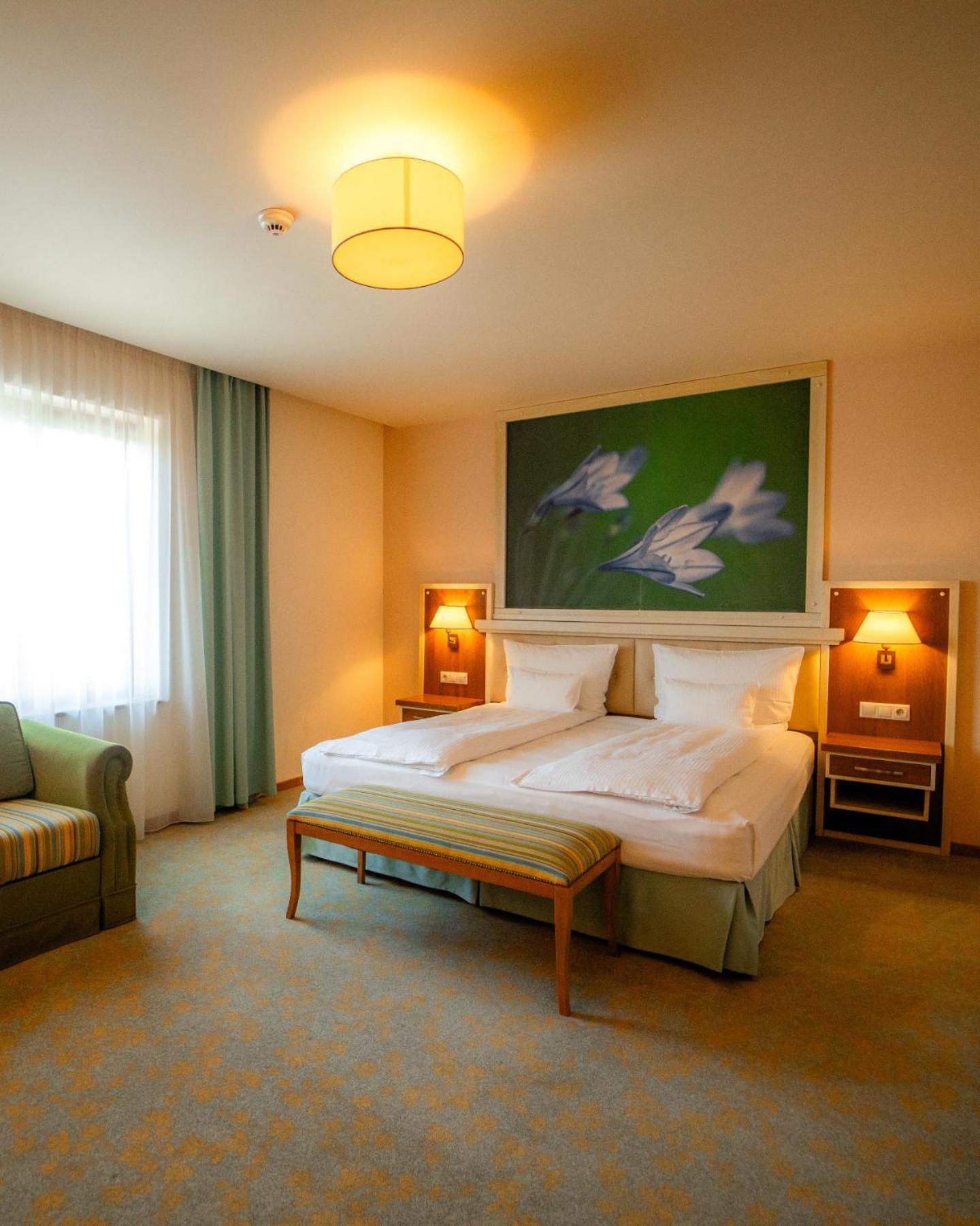 Hotel Sonnenhof Сучеава Екстериор снимка