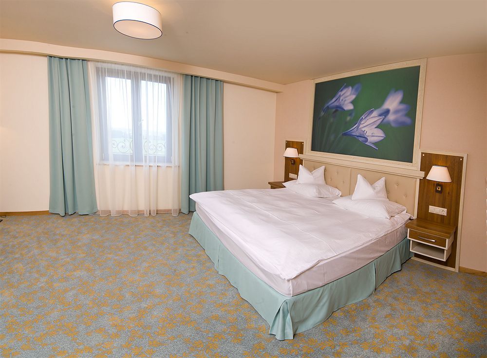 Hotel Sonnenhof Сучеава Екстериор снимка